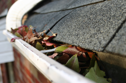 Eavestrough cleaning