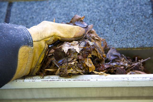 gutter cleaning in Burlington