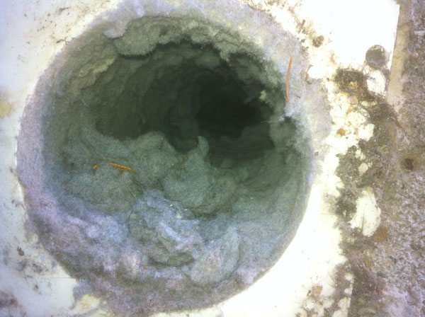 Dryer Vent Cleaning